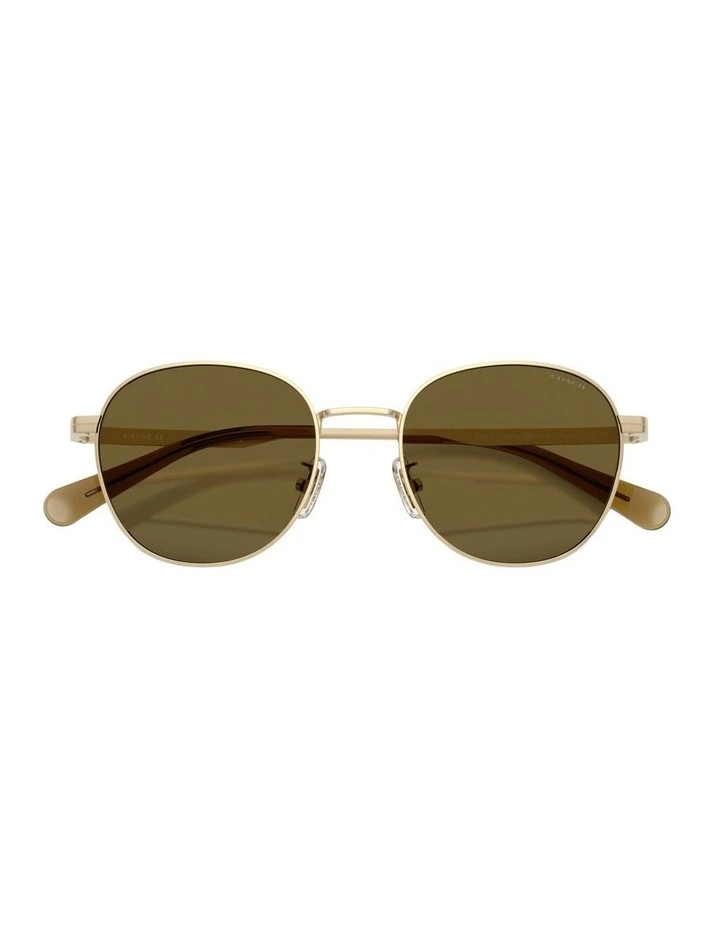 Metal Sunglasses in Gold CDP36 image 2