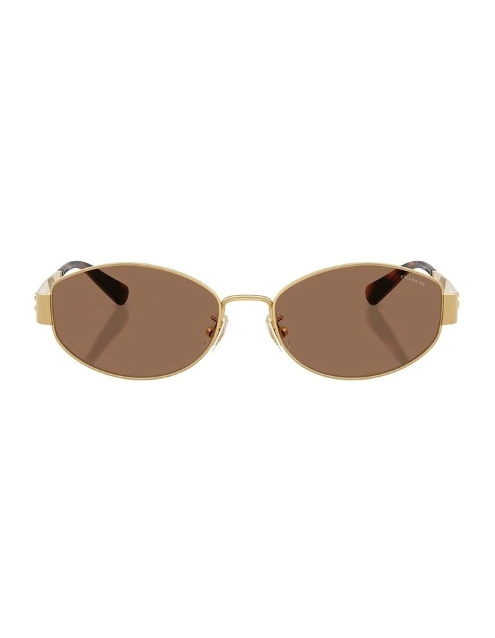 Metal Sunglasses in Gold CDP44 image 2