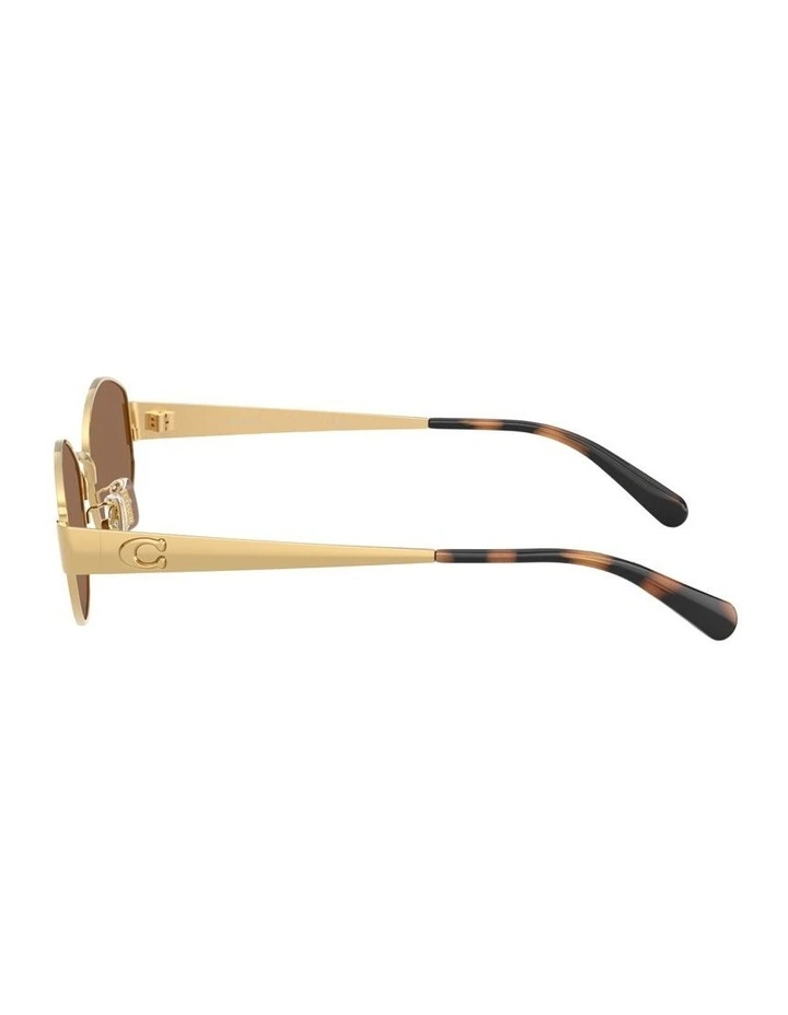 Metal Sunglasses in Gold CDP44 image 3