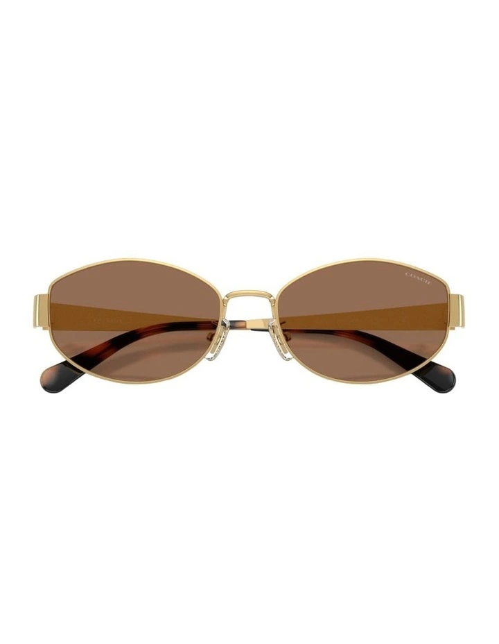 Metal Sunglasses in Gold CDP44 image 4