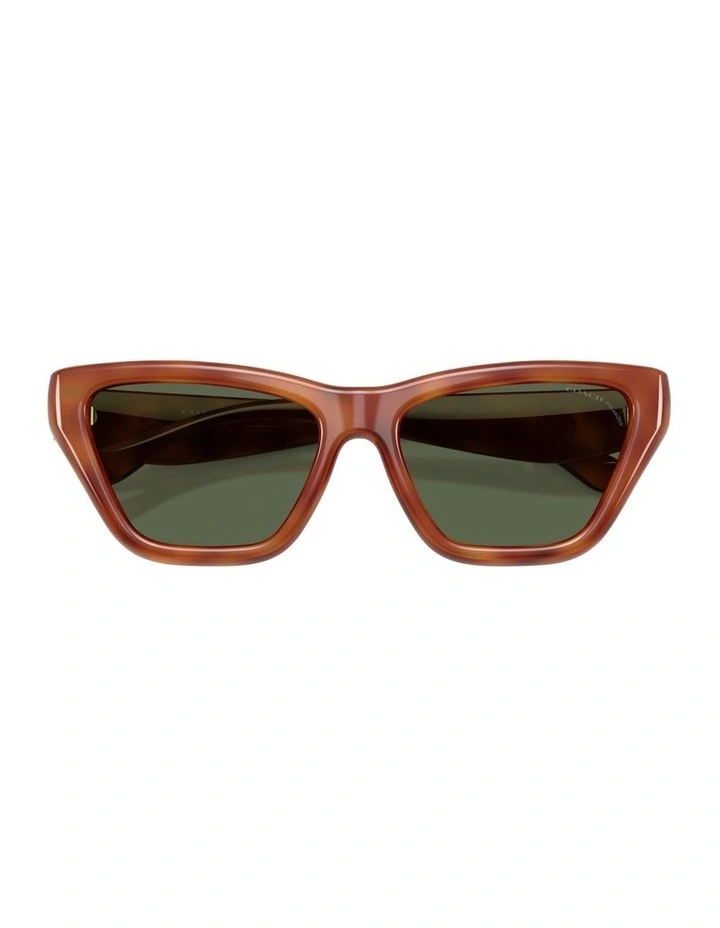 Injected Polarised Sunglasses in Tortoise CDP33 image 4