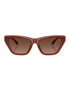 Injected Polarised Sunglasses in Brown CDP33