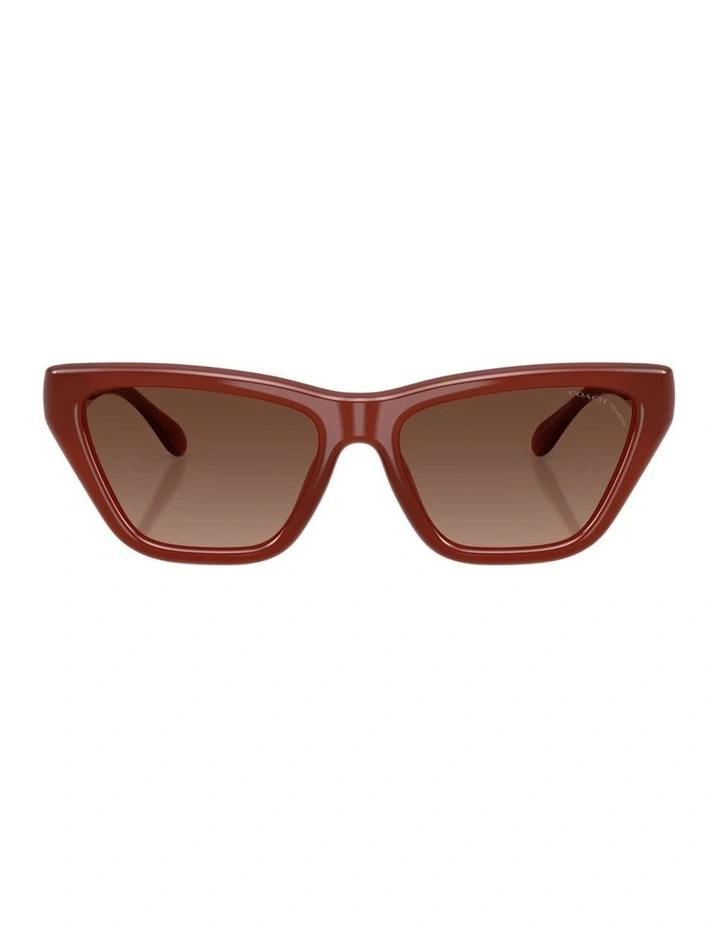 Injected Polarised Sunglasses in Brown CDP33 image 1