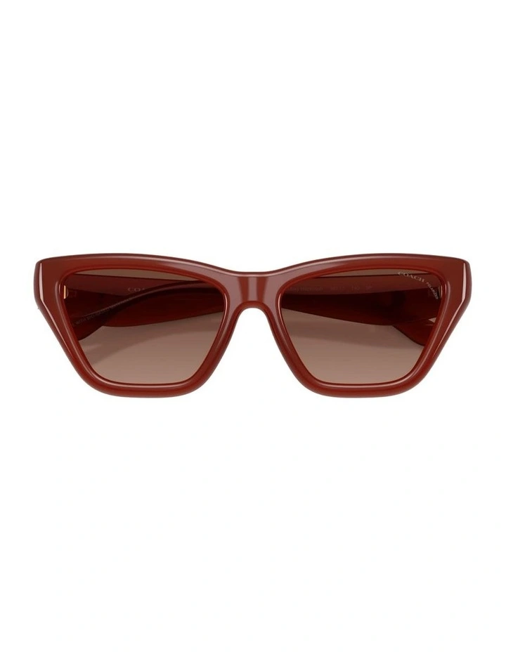 Injected Polarised Sunglasses in Brown CDP33 image 3