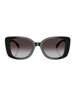 Acetate Sunglasses in Black CDP48