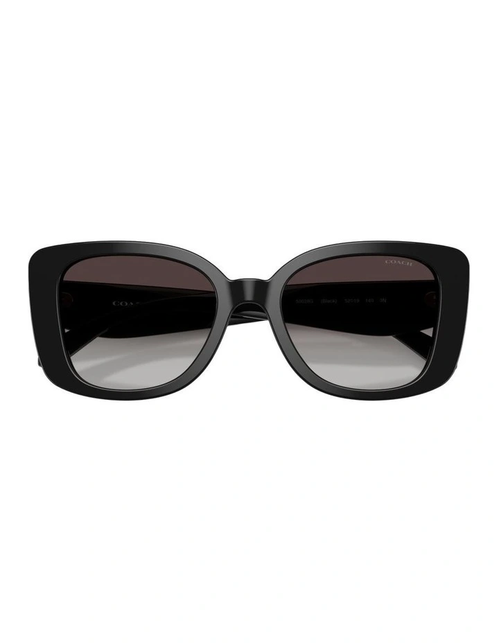 Acetate Sunglasses in Black CDP48 image 3