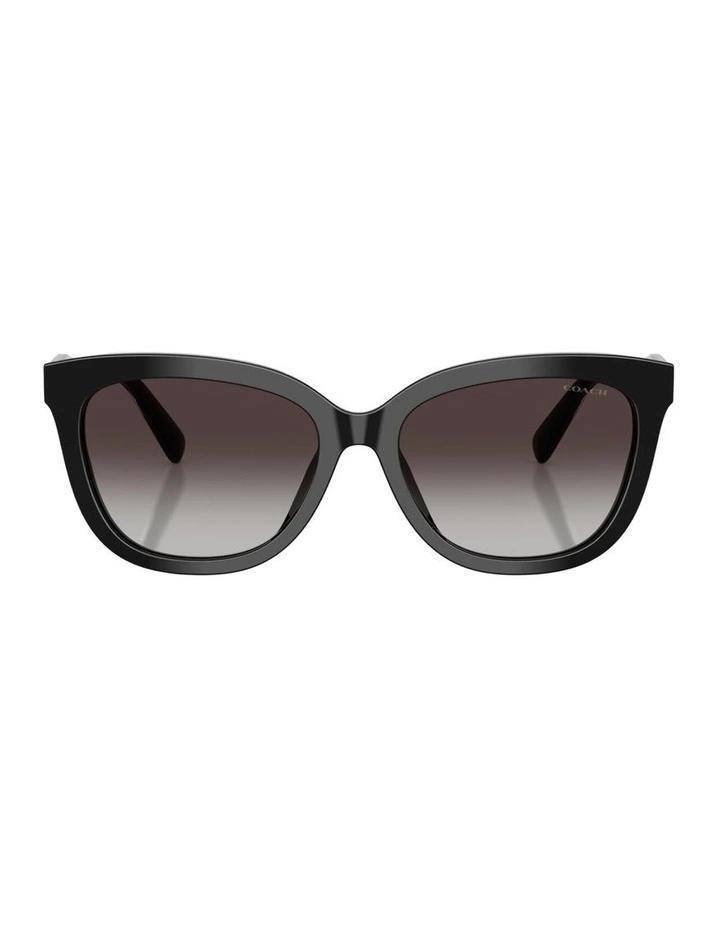 Acetate Sunglasses in Black CDP53 image 1