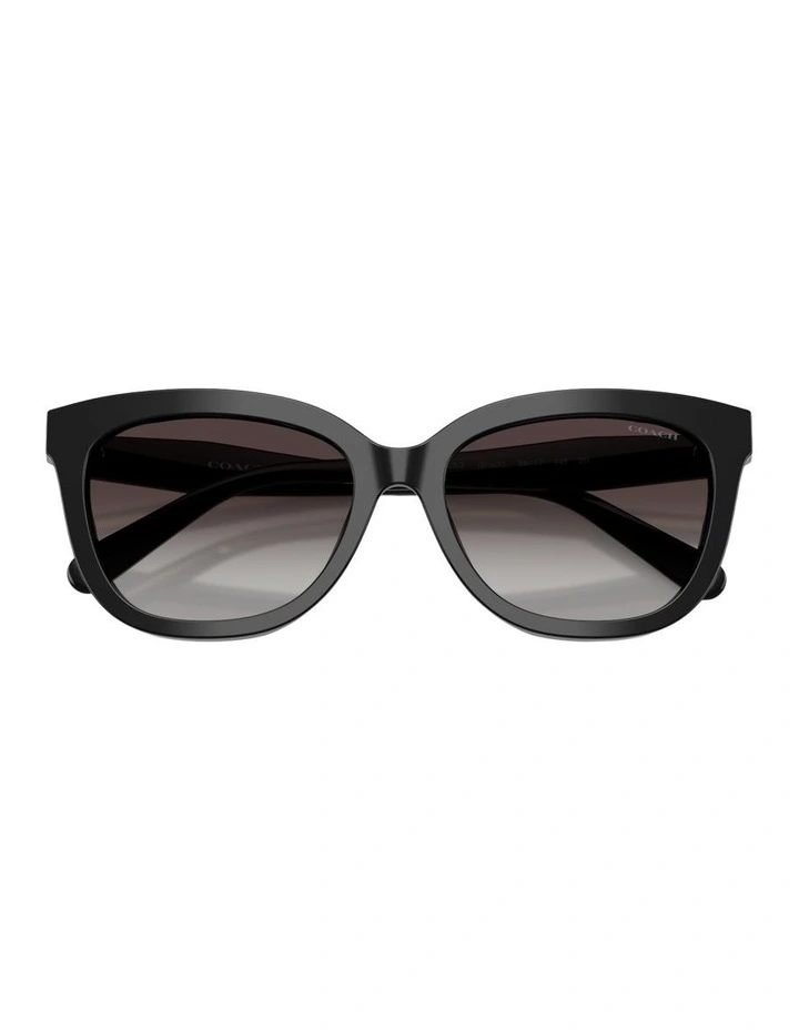 Acetate Sunglasses in Black CDP53 image 3