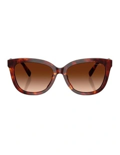 Acetate Sunglasses in Tortoise CDP53