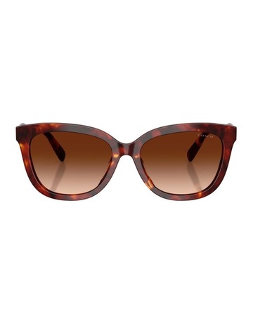 Walnut Tortoise colour