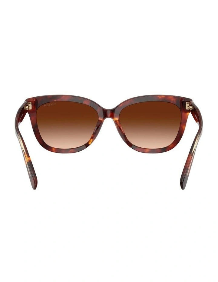 Acetate Sunglasses in Tortoise CDP53 image 2
