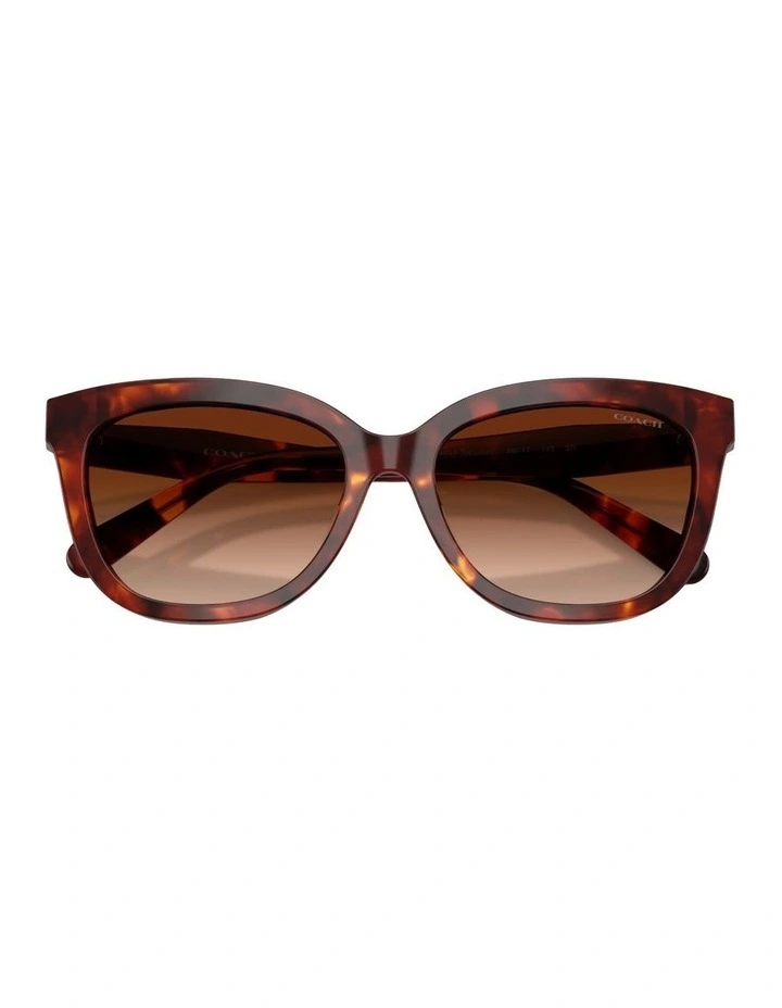 Acetate Sunglasses in Tortoise CDP53 image 3