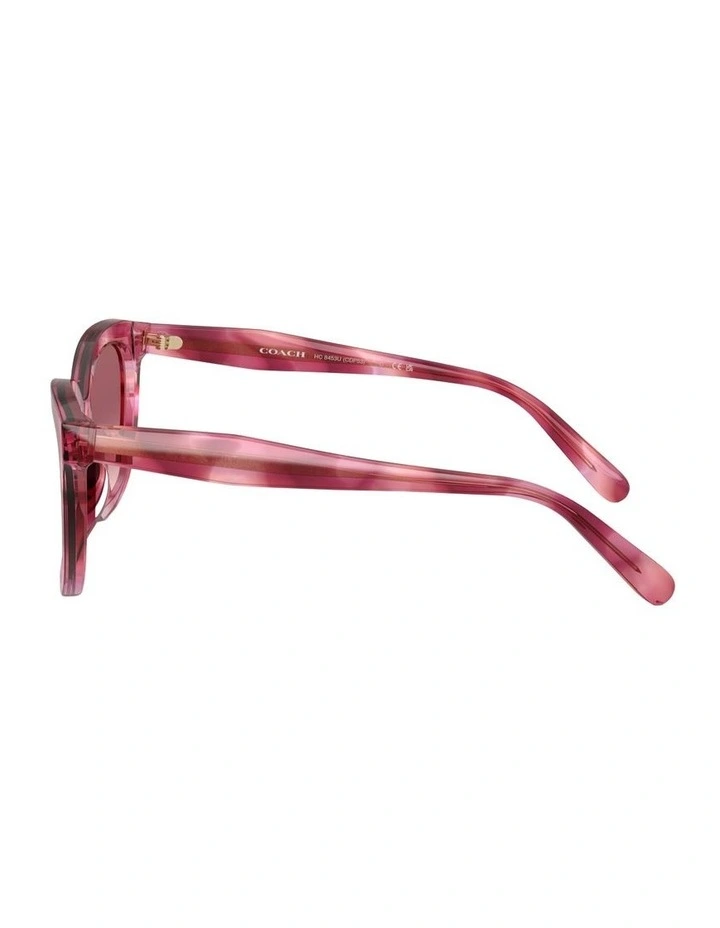 Acetate Sunglasses in Violet CDP53 image 2