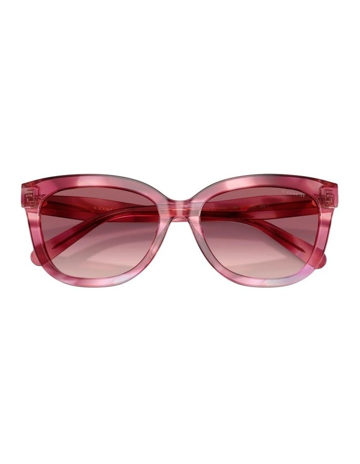 Acetate Sunglasses in Violet CDP53 image 3