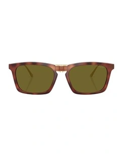 Injected Sunglasses in Tortoise CDP54
