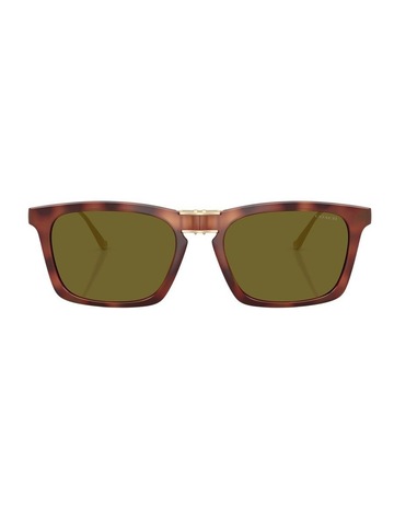 Caramel Tortoise colour