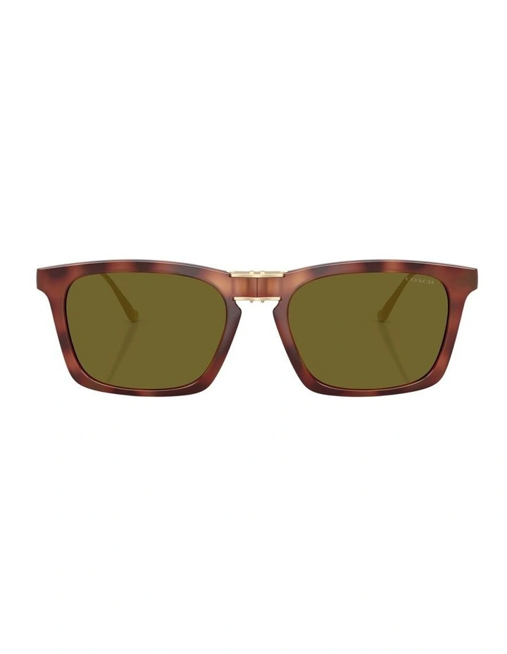 Injected Sunglasses in Tortoise CDP54 image 1