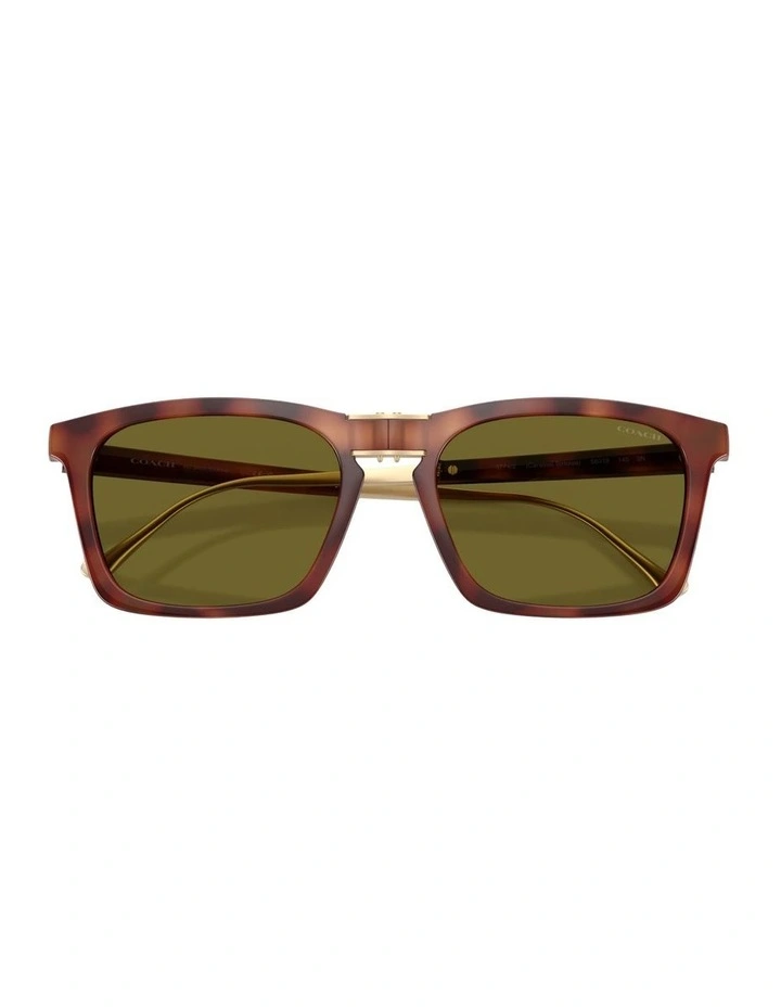 Injected Sunglasses in Tortoise CDP54 image 2