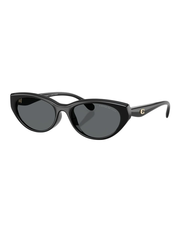 Injected Polarised Sunglasses in Black CDP42 image 1