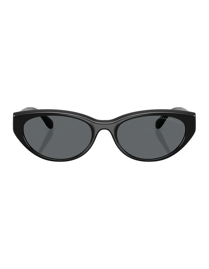 Injected Polarised Sunglasses in Black CDP42 image 2