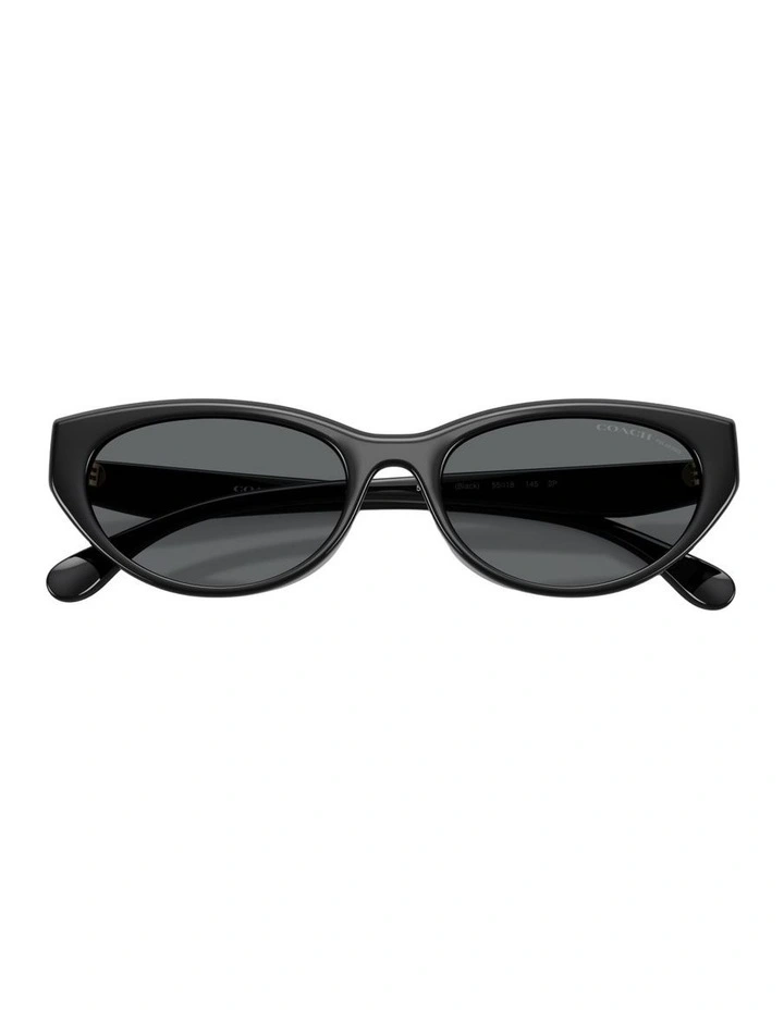 Injected Polarised Sunglasses in Black CDP42 image 3