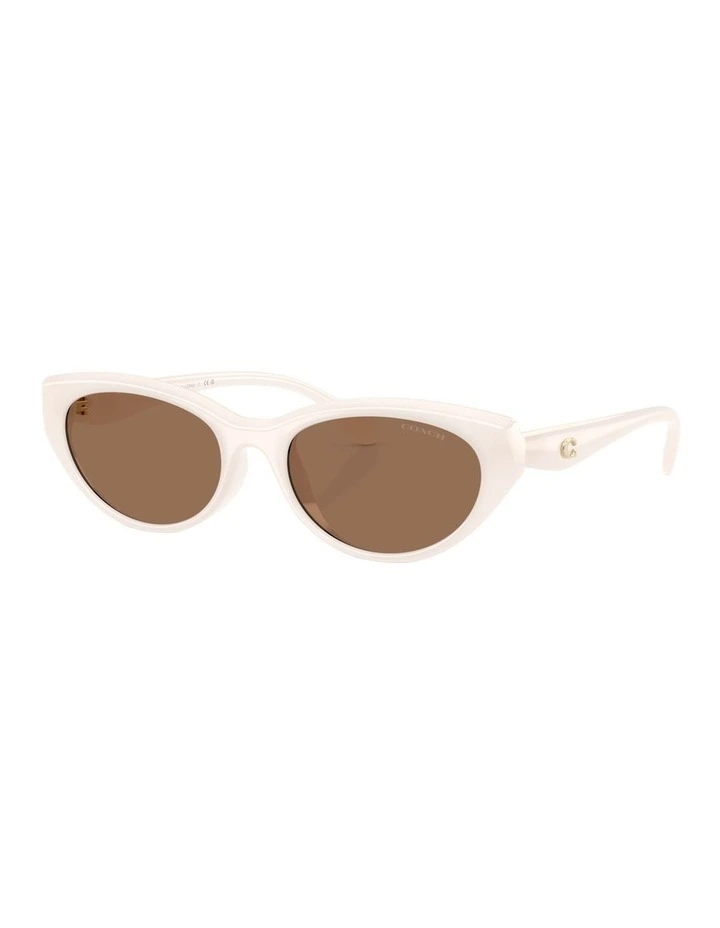Injected Sunglasses in White CDP42 image 1