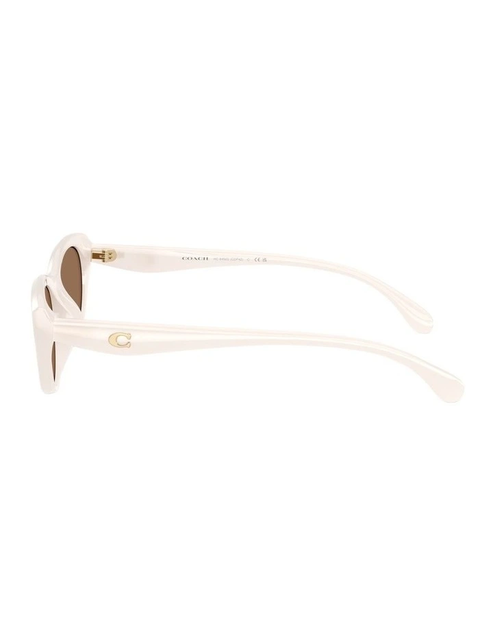 Injected Sunglasses in White CDP42 image 3