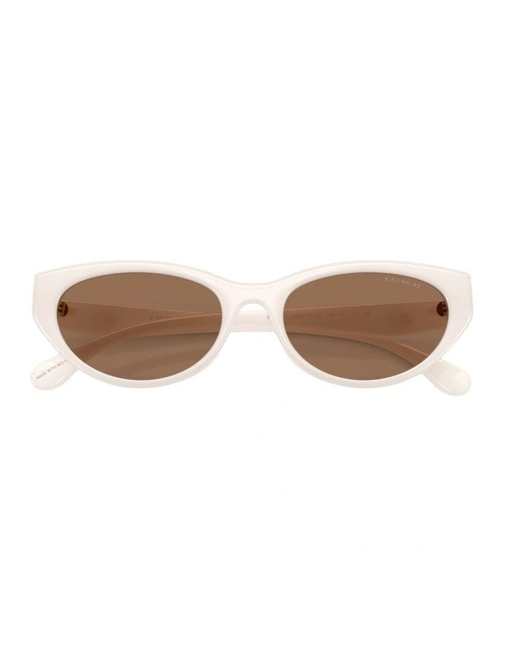 Injected Sunglasses in White CDP42 image 4