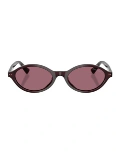 Acetate Sunglasses JC5068U in Violet