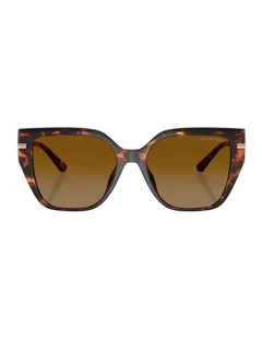St. Barths Injected Polarised Sunglasses in Tortoise