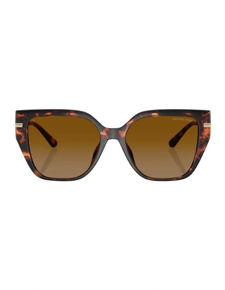 St. Barths Injected Polarised Sunglasses in Tortoise image 1
