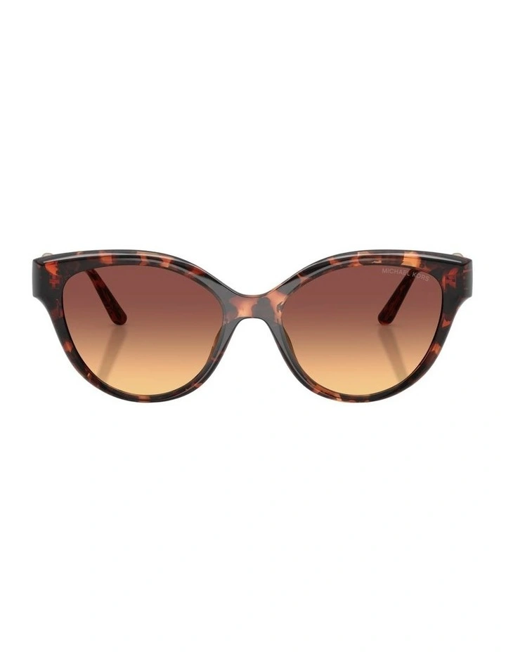 Nagoya Injected Sunglasses in Tortoise image 1