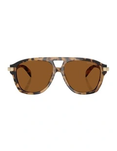 Grenada Acetate Sunglasses in Tortoise