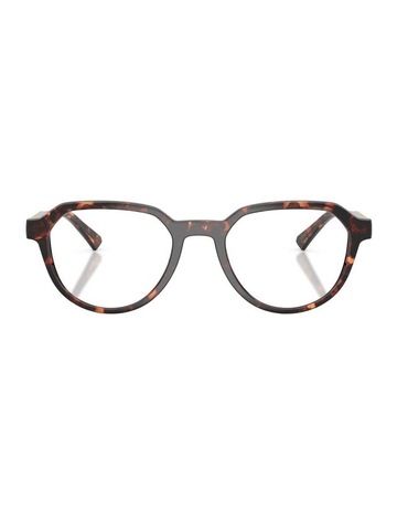 Dark Tortoise colour