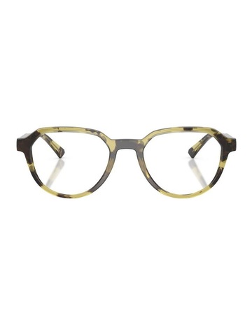 Olive Tortoise colour