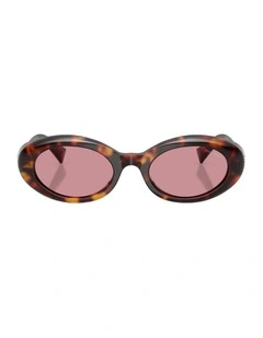 Acetate Sunglasses in Tortoise