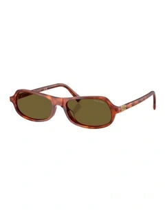 Acetate Sunglasses in Brown