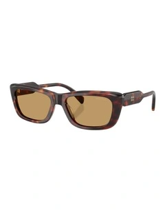 Acetate Sunglasses in Tortoise