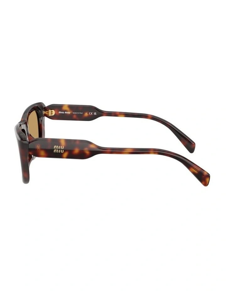 Acetate Sunglasses in Tortoise image 3