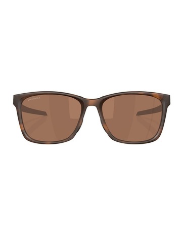 Matte Brown Tortoise colour