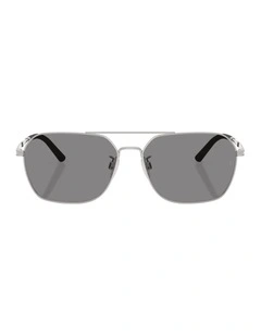 Steel Polarised Sunglasses R-17 in Silver