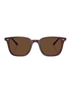 Laedin Acetate Polarised Sunglasses in Brown