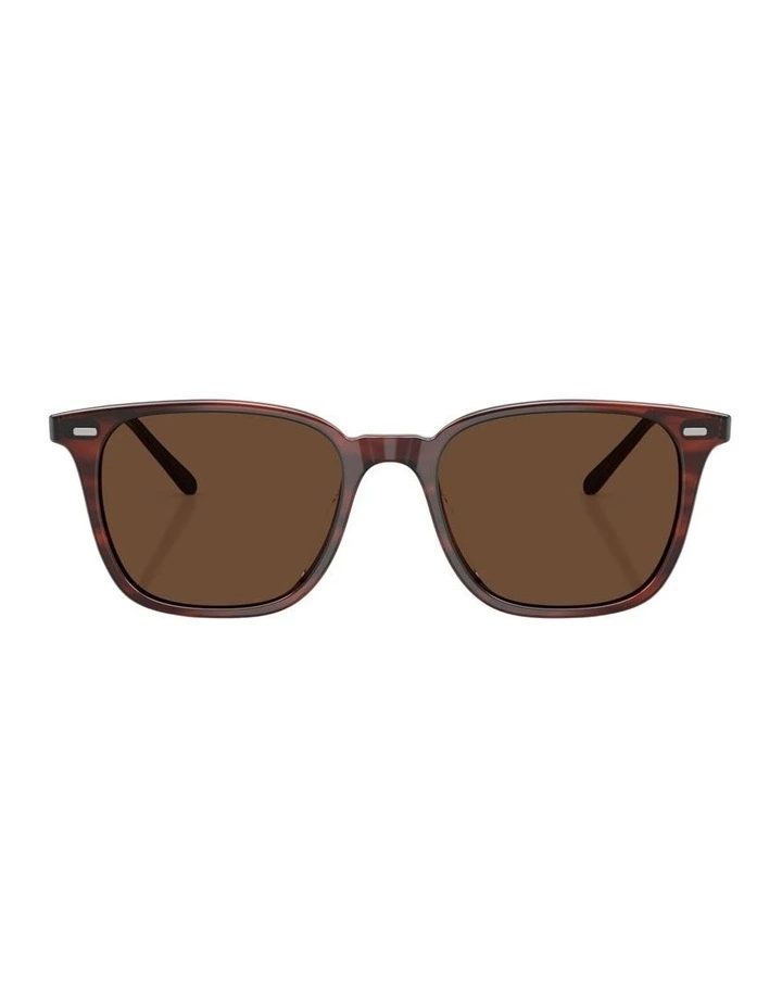 Laedin Acetate Polarised Sunglasses in Brown image 1