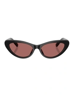 Acetate Sunglasses in Black