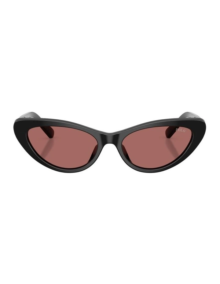 Acetate Sunglasses in Black image 1