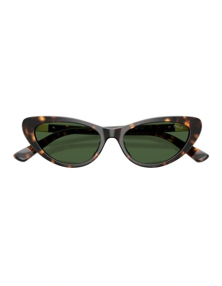 Acetate Sunglasses in Tortoise image 3