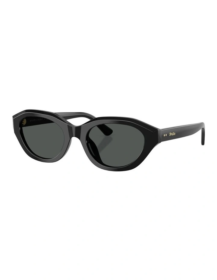 Acetate Sunglasses in Black image 1