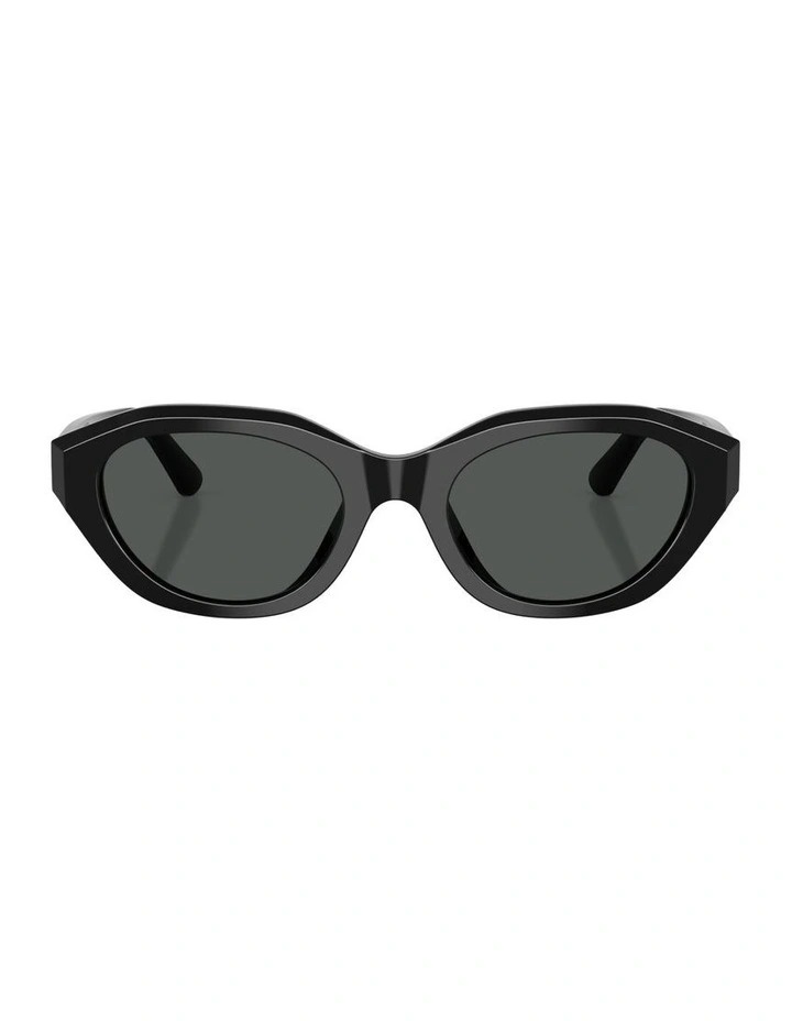 Acetate Sunglasses in Black image 2