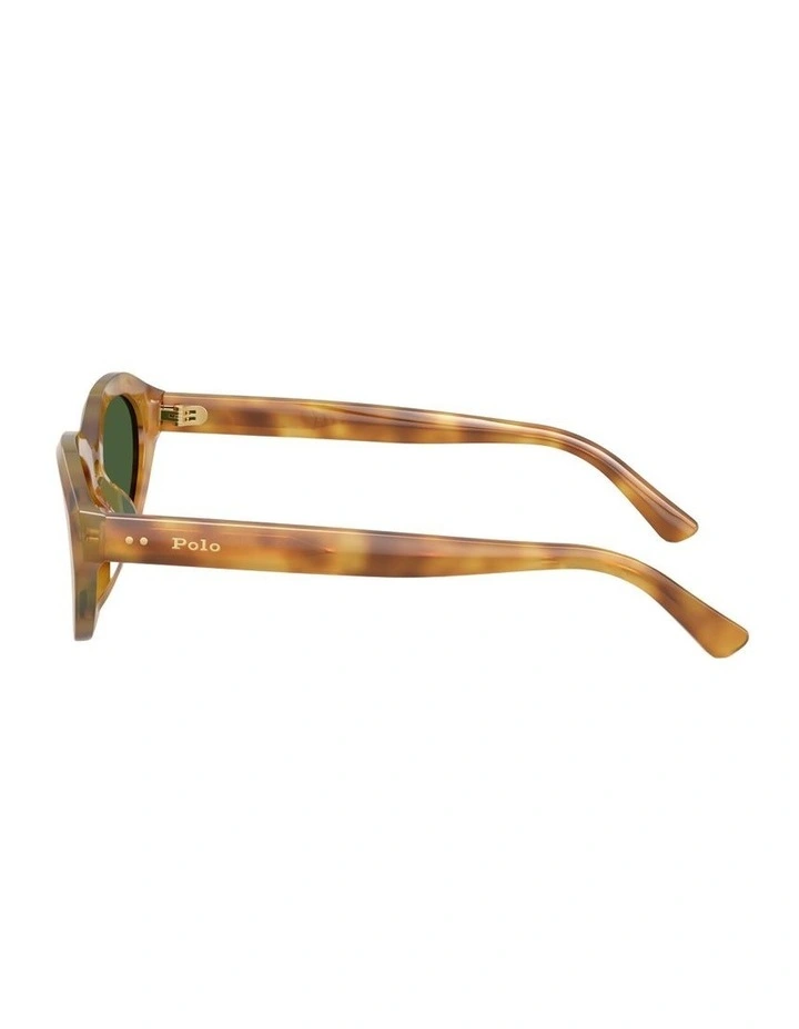 Acetate Sunglasses in Tortoise image 3
