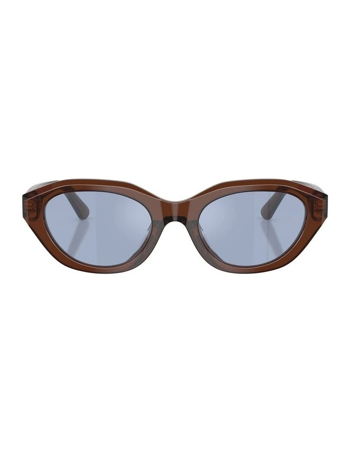Acetate Sunglasses in Brown image 2